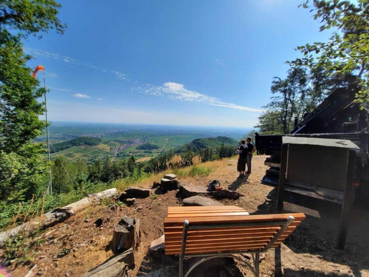 Ferienweingut Peter Stuebinger * Leinsweiler